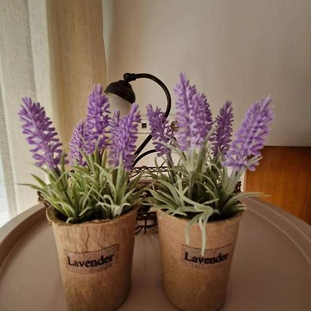 Levanda House PalaiónTsiflíkion Екстериор снимка