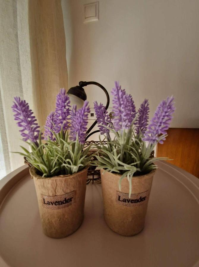 Levanda House PalaiónTsiflíkion Екстериор снимка